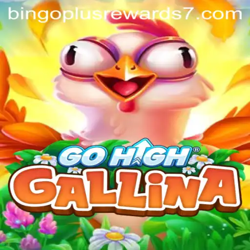 GoHighGallina: An Exciting Adventure with Bingo Plus Rewards