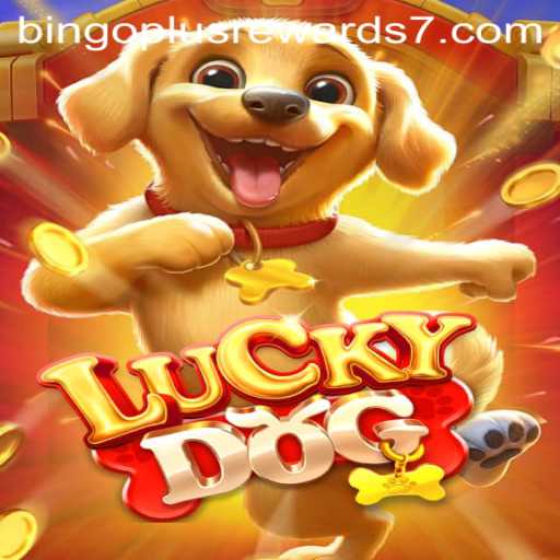 Exploring LuckyDog: A Game of Chance and Rewards