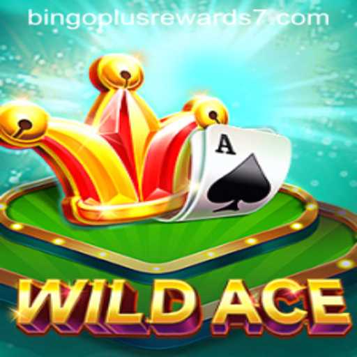 WildAce: A Closer Look at the Exciting Bingo Plus Rewards Game